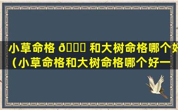 小草命格 🐕 和大树命格哪个好（小草命格和大树命格哪个好一 🦊 点）